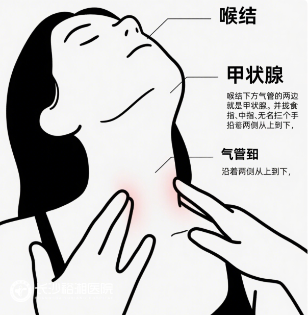 1754553597152811.png image.png