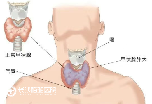 1754554419666101.png image.png