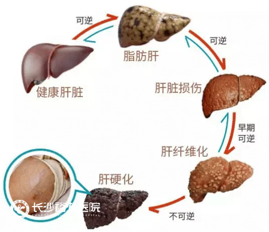 1754704716153061.png image.png