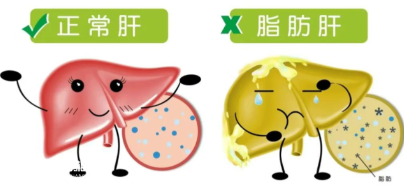 1754704749286684.png image.png