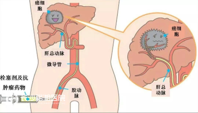 1755762105476342.png image.png