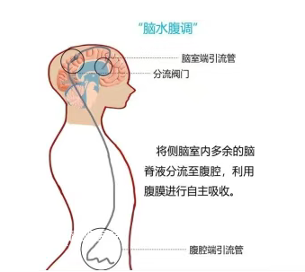 1756262824620407.png image.png