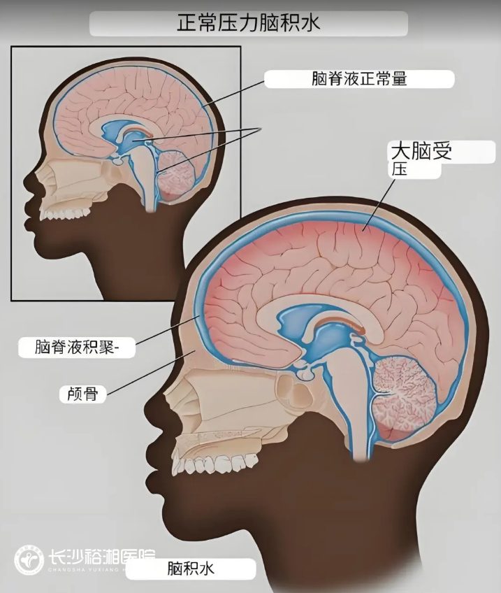 1756263095134911.png image.png