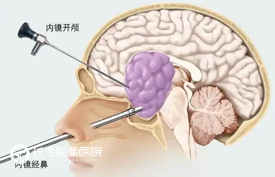 1757663672772423.png image.png