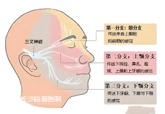 1761630723141834.png 97495a184067530af8f5c539bb92783.png